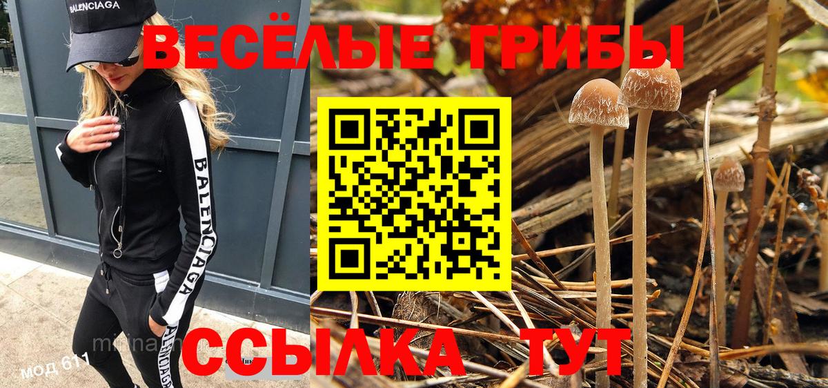 Галлюциногенные грибы мицелий  Вход с VPN  Арсеньев 